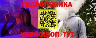 крисы Новозыбков