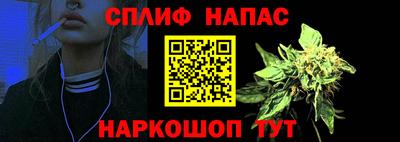 крисы Новозыбков
