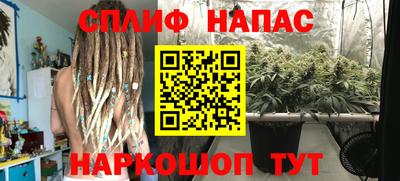каннабис Новокубанск