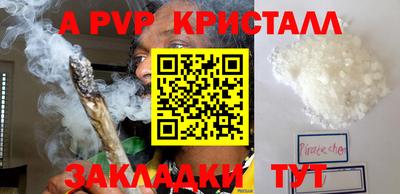 крисы Новозыбков